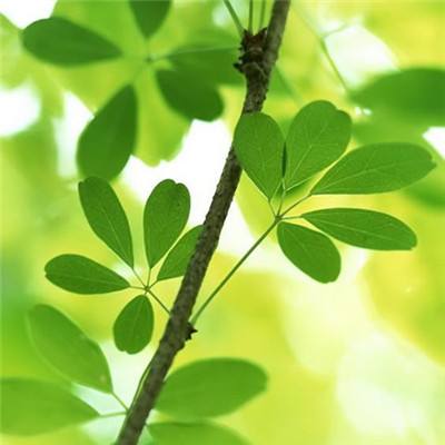 火狐登录入口